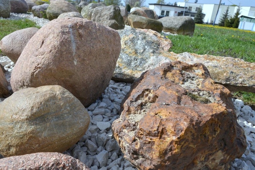 Campus Uniwersytetu Jana Kochanowskiego w Kielcach bogatszy o lapidarium. Znalazły się w nim niezwykłe skały (WIDEO, ZDJĘCIA)