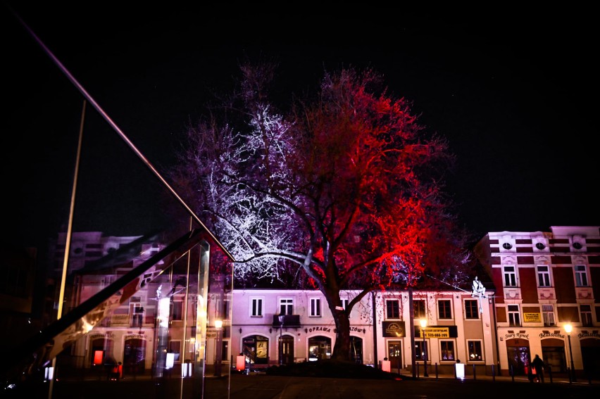 Z okazji majowych świąt Stary Rynek w Częstochowie został...