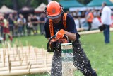 Cietrzewisko 2017 w Koszęcinie. Było naprawdę ostro, aż wióry leciały ZDJĘCIA