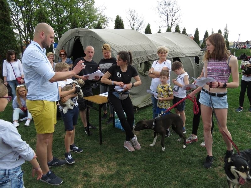 Brodniczanie pobiegli dla Reksia - akcja na rzecz schroniska dla zwierząt