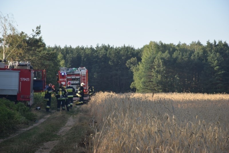 Pożar wysypiska śmieci w Mostkach koło Zduńskiej Woli