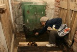 Woda, schron i szczury - okropne warunki w piwnicy kieleckiego bloku 
