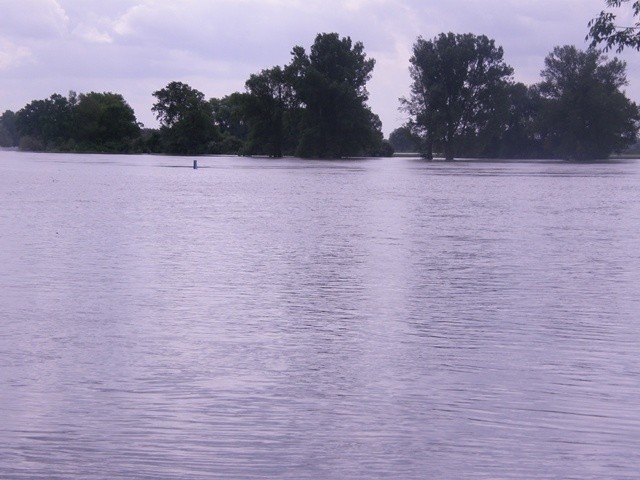 Powódź 2010, Przewóz