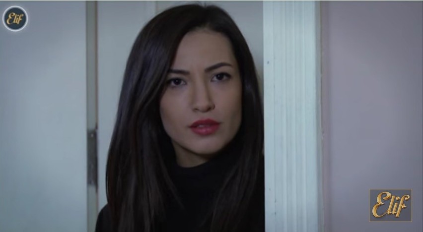 "Elif" odcinek 293. Erkut szantażuje Zeynep. Żąda, żeby rozwiodła się z Selimem! [STRESZCZENIE ODCINKA+ZDJĘCIA]