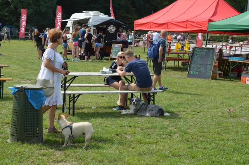 "Latające psy" 2018 w gdyńskim Parku Kolibki, czyli emocjonujące zawody w dogfrisbee