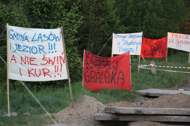 Mieszkańcy Czarnej Dąbrówki od dwóch lat protestują przeciwko fermie kur we wsi. Teraz właściciel obiektów zdecydował, że będzie hodował świnie.