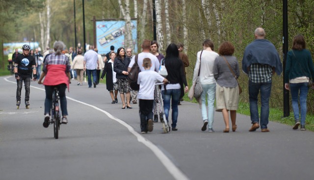 Przewodnicy turystyczni z PTTK Szlak Brdy w Bydgoszczy zapraszają w tym miesiącu na kolejne wycieczki. W programie są wyprawy po naszym regionie, a także kilka propozycji dalszych wyjazdów.