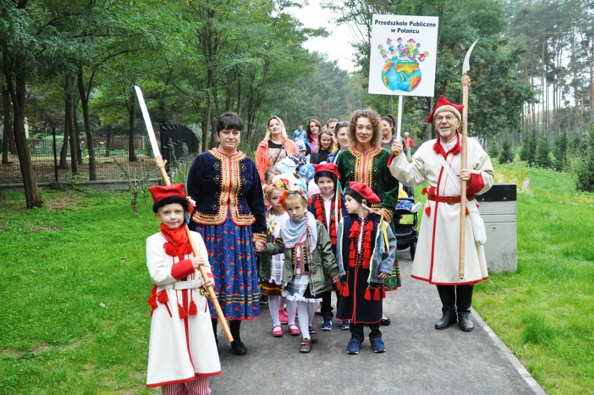 Na terenie lasu wokół Kopca Kościuszki w Połańcu odbyły się...