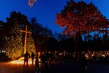 Wszystkich Świętych 2023. Zobacz, jak Cmentarz Farny w Białymstoku prezentował się po zmroku