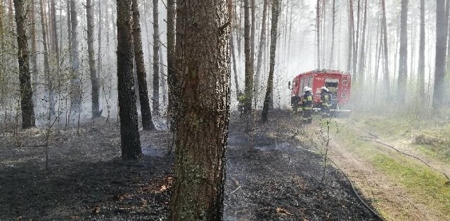 Pożar gaszą 22 jednostki straży pożarnej