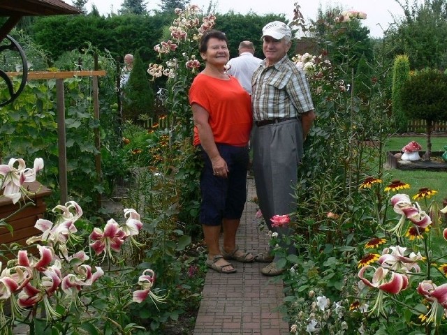 Jadwiga i Jan Jajko, których działka jest najładniejsza na Podkarpaciu, są dumni ze swojego ogrodu, a szczególnie z lilii, których mają ponad 100 gniazd.