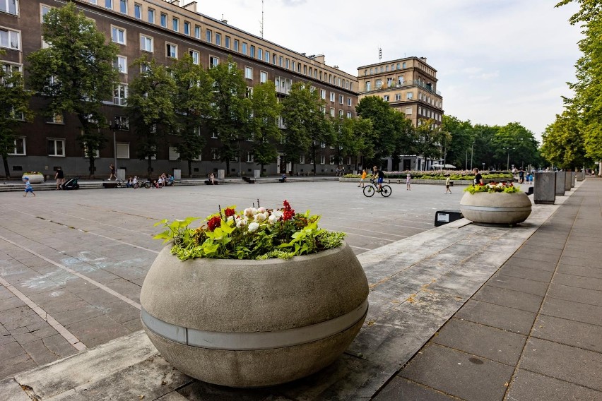 Aleja Róż w Nowej Hucie zostanie poddana rewitalizacji