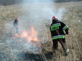 Wypalanie traw jest zabronione! A powiecie kołobrzeskim znowu interweniowała straż