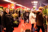 Festiwal Roślin 2022 w Białymstoku. Gratka dla miłośników roślin na Stadionie Miejskim. Sprawdź, co można było kupić podczas festiwalu