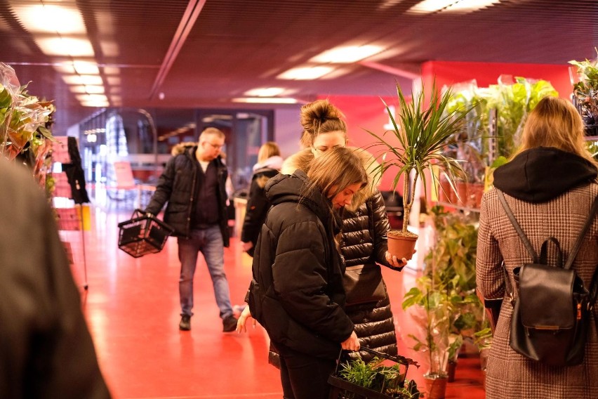 Festiwal Roślin 2022 w Białymstoku. Gratka dla miłośników roślin na Stadionie Miejskim. Sprawdź, co można było kupić podczas festiwalu