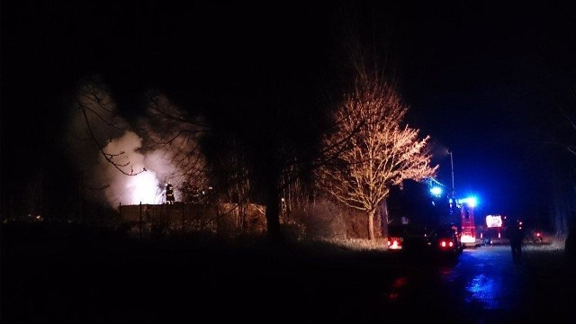 Trzy jednostki zawodowej i trzy ochotniczej straży pożarnej gasiły pożar, do którego doszło wczoraj po godzinie 22.00 w Skarbiszowie.