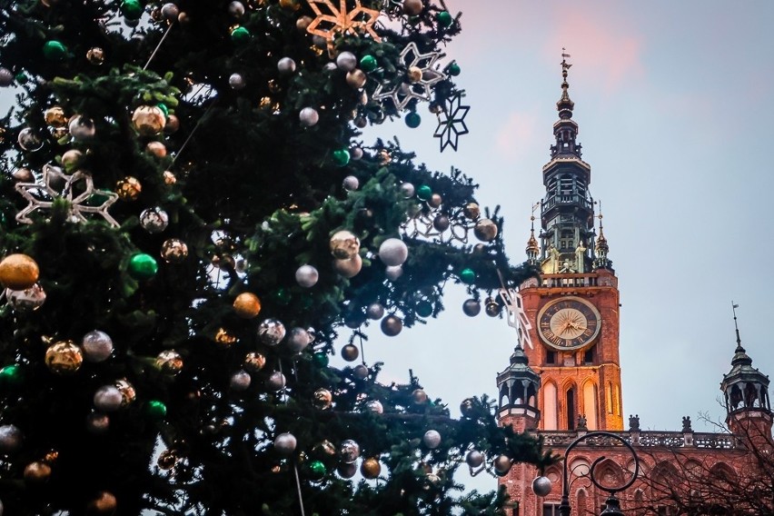 Choinka na Długim Targu w Gdańsku już stoi! Świąteczne iluminacje pojawiły się także przy Forum Gdańsk 