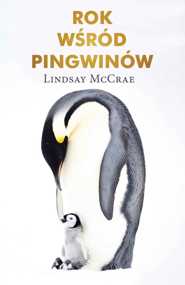 Lindsay McCrae – Rok wśród pingwinów cesarskich