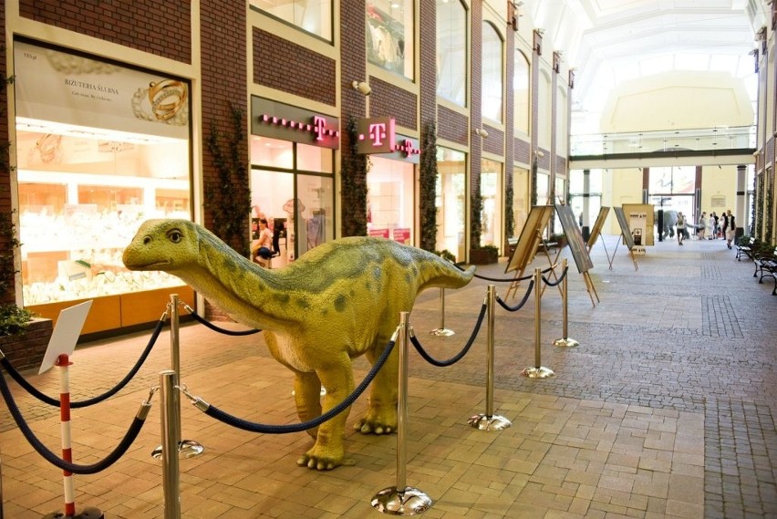 Dinozaury w Galerii Alfa