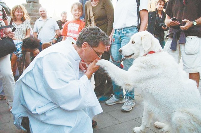 &#8211; Niektórzy uważają mnie za fantastę, takiego doktora Dolittle &#8211; mówi duszpasterz zwierząt Tomasz Jaeschke. &#8211; Ja zaś po prostu identyfikuję się z każdym zwierzęciem i dlatego tak bardzo mnie boli, gdy ktoś zadaje mu cierpienie.