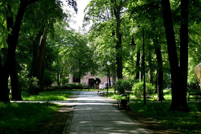 Park im. Tadeusza Kościuszki zachwyca zielenią.