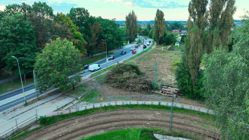 Kraków. Ruszyła wycinka drzew wzdłuż ul. Kocmyrzowskiej. Na początek teren w okolicy pętli tramwajowej  