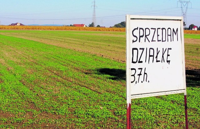 Notariusze od kilku miesięcy obserwują wzmożony ruch w obrocie ziemią