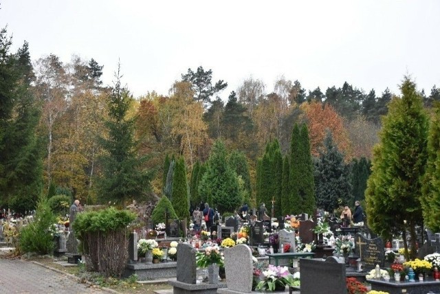 Cmentarz Komunalny w Malborku to "teren zielony o założeniu parkowym", jak głosi regulamin nekropolii. Zarządca ponosi koszty utrzymania, ale i ewentualnej wycinki drzew i krzewów.