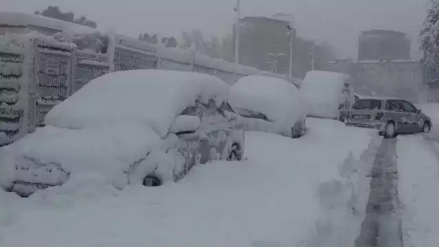 Gwałtowne załamanie pogody w woj. śląskim. Wiele dróg jest nieprzejezdnych z powodu zalegającego śniegu i połamanych drzew