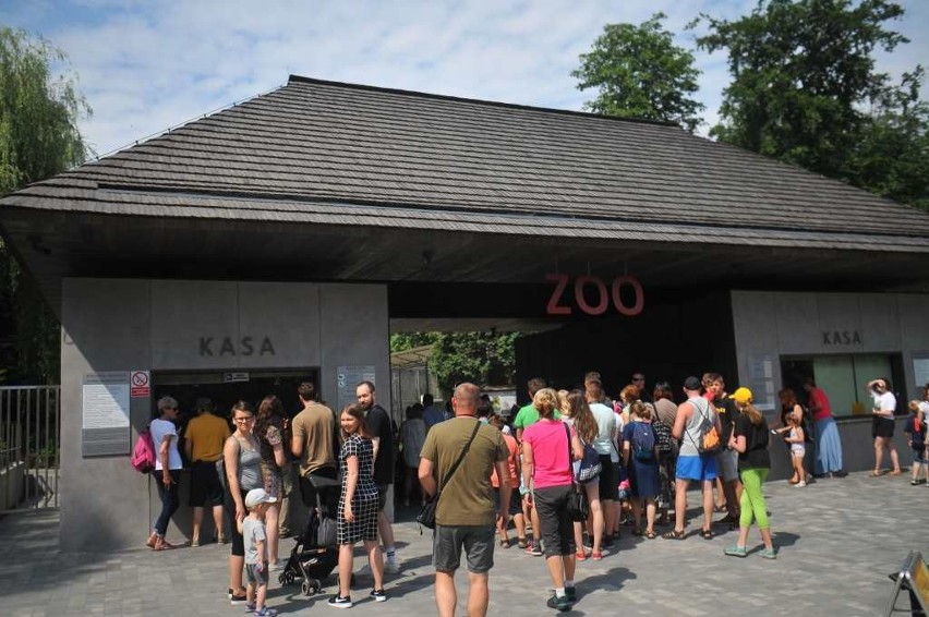 Krakowskie ZOO obchodzi dziewięćdziesiątą rocznicę powstania