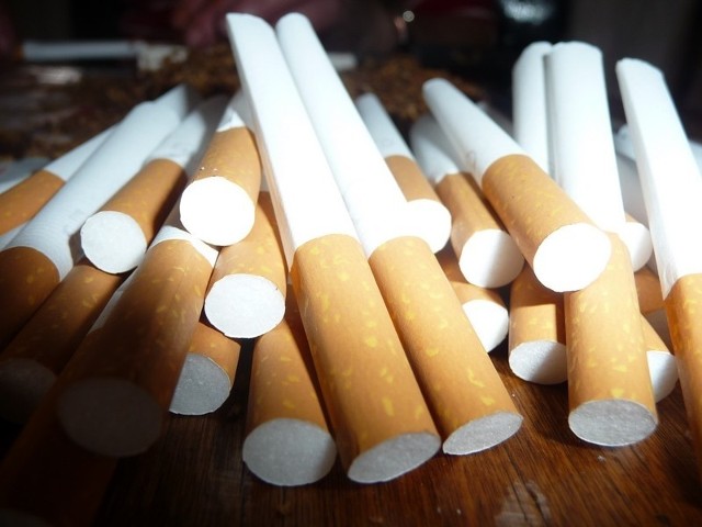 Mieszkaniec Kołobrzegu przechowywał ponad 15 kilogramów tytoniu bez akcyzy.
