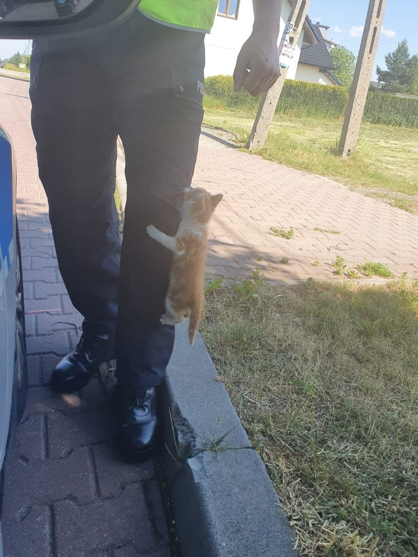 Policjanci oświęcimskiej "drogówki" mieli na służbie...