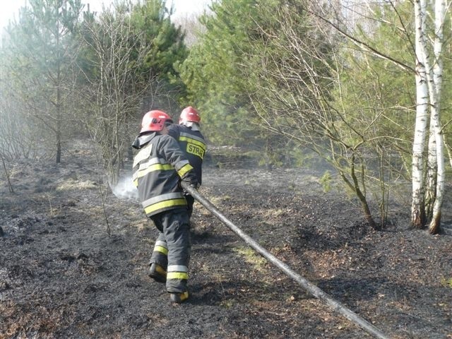 W powiecie szydłowieckim, od początku roku, doszło już do ponad 250 pożarów traw i nieużytków.