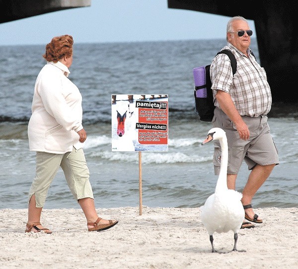 Nowa tablica informacyjna na plaży centralnej. 