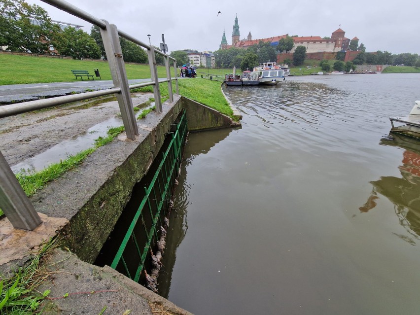 Kraków. Zrzuty nieoczyszczonych ścieków do Wisły. System kanalizacyjny nie wytrzymuje podczas zbyt dużych opadów. Co z tym zrobić?
