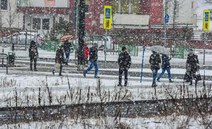 Pogoda na wiosnę. Opady śniegu i deszczu!. Kiedy ocieplenie? Co w kwietniu? Długoterminowa prognoza pogody