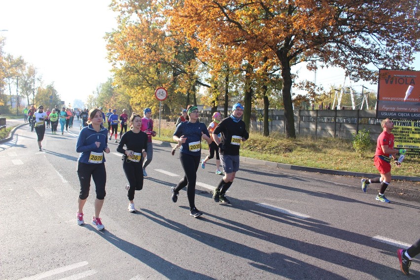 Półmaraton Gliwicki 2016 ZDJĘCIA + WYNIKI