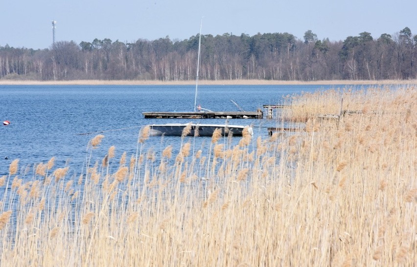 Tak obecnie wygląda kąpielisko nad jeziorem Głębokim