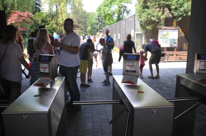 Krakowskie ZOO obchodzi dziewięćdziesiątą rocznicę powstania