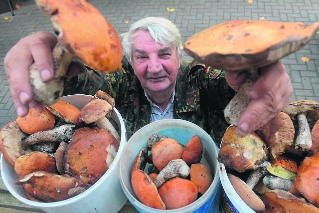 Wysyp grzybów spowodował, że ich cena na targowiskach jest teraz bardzo niska
