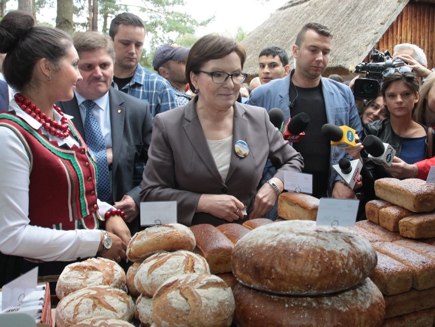 Premier Ewa Kopacz podczas Święta Chleba 2015 w Radomiu na...