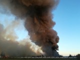 Pożar chlewni w Taciewie. Spłonęło 2,4 tysiąca świń. Z ogniem walczyło 30 zastępów straży pożarnej (zdjęcia, wideo)
