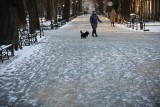 Atak zimy w Krakowie. Do miasta zawitała śnieżyca z prawdziwego zdarzenia. Białe i śliskie drogi, mróz i wiatr [ZDJĘCIA]
