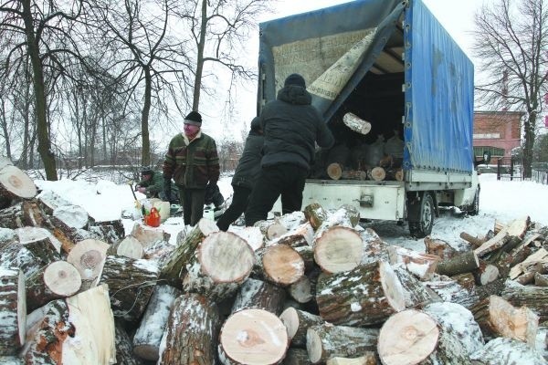 Wolontariusze rąbią drzewo na mniejsze kawałki
