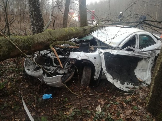 Do wypadku doszło w środę po godz. 6, na drodze wiodącej przez tereny leśne w Żołyni. Jak ustalili łańcuccy policjanci, oplem jechał 18-letni mieszkaniec powiatu leżajskiego. Młody kierowca wyprzedził jadący przed nim samochód, jednak po zakończeniu manewru, utracił panowanie nad swoim pojazdem i wjechał do przydrożnego rowu, z którego opel został wyrzucony w powietrze i uderzył w przydrożne drzewo.Kierujący oplem trafił do szpitala. W chwili zdarzenia był trzeźwy.Zobacz także: Wypadek w Ciemięrzowicach niedaleko Przemyśla. W zderzeniu BMW z mercedesem ranne zostały dwie osobyWYPADKI NA PODKARPACIU:Wypadek z udziałem motocyklisty [ZDJĘCIA]Ford dachował w rowie z wodą. W aucie było dziecko [ZDJĘCIA]Wypadek w Rzeszowie. Kierowca renault wbił się w autobus MPK