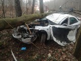 Wypadek w Żołyni. Do szpitala trafił 18-letni mieszkaniec powiatu leżajskiego [ZDJĘCIA]