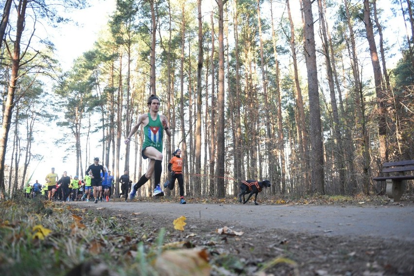 Parkrun Toruń. Zobacz zdjęcia z sobotniego biegu [20.11]