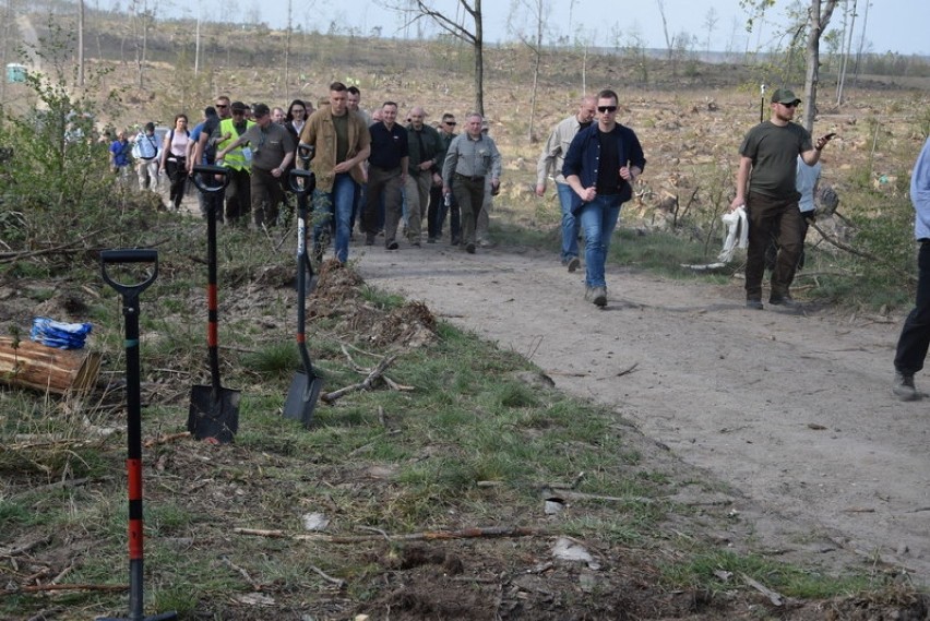 Prezydent Andrzej Duda z małżonką sadzili drzewa na terenie nadleśnictwa Rytel