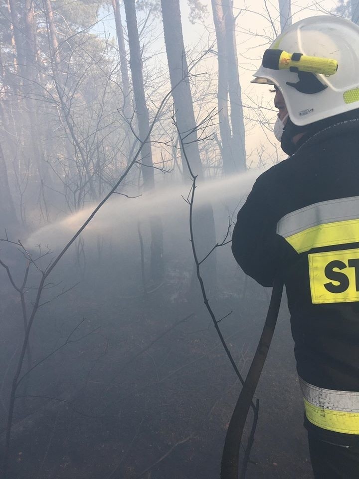 Pożary lasu, traw i płonące opony gasili strażacy ochotnicy z Krasocina (ZDJĘCIA)