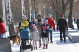 Tłumy spacerowiczów na Pogorii w Dąbrowie Górniczej. Chętnie wspierali oni WOŚP 